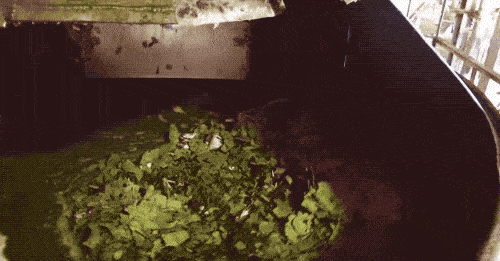 1718293082154619.gif image005.gif